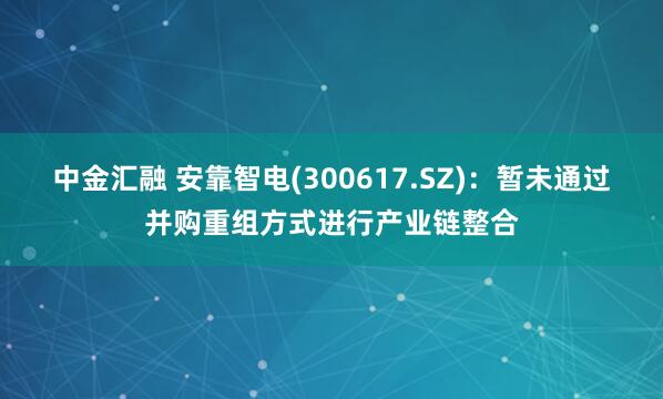 中金汇融 安靠智电(300617.SZ)：暂未通过并购重组方式进行产业链整合