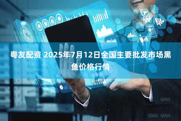 粤友配资 2025年7月12日全国主要批发市场黑鱼价格行情