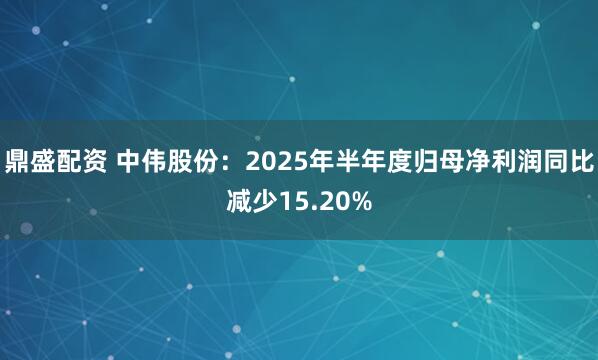 鼎盛配资 中伟股份：2025年半年度归母净利润同比减少15.20%