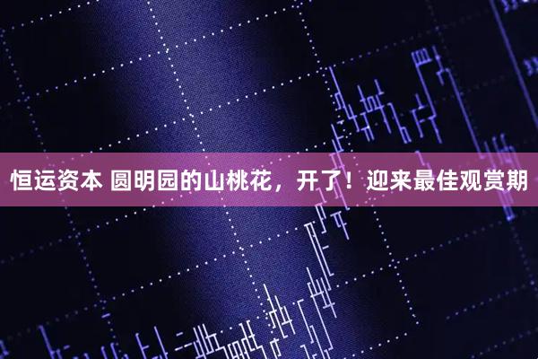 恒运资本 圆明园的山桃花,开了!迎来最佳观赏期